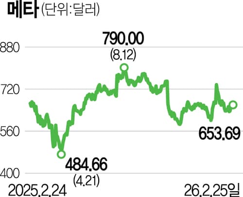 Meta Leads Tech Peers in Boosting Ad Efficiency Through AI - Seoul Economic Daily