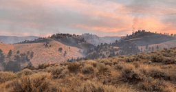 Power restored to all who lost it due to Hawk Fire; Governor signs housing assistance executive order; Reno woman dies