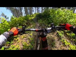 Everyone's Favorite Trail: Half moon Bay #mtb #djiosmoactio #insta360x4