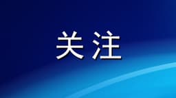 垂域AI第一大省山东：一竿子捅到底