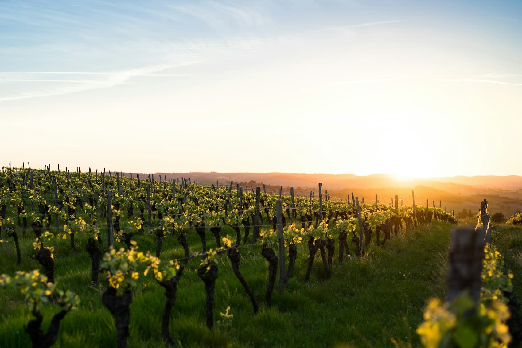 Rhone Valley Wine: Granite North, Sun-Baked South
