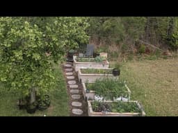 Gardening builds confidence, socks repel mosquitos 🧦, and flowers invite pollinators 🦋