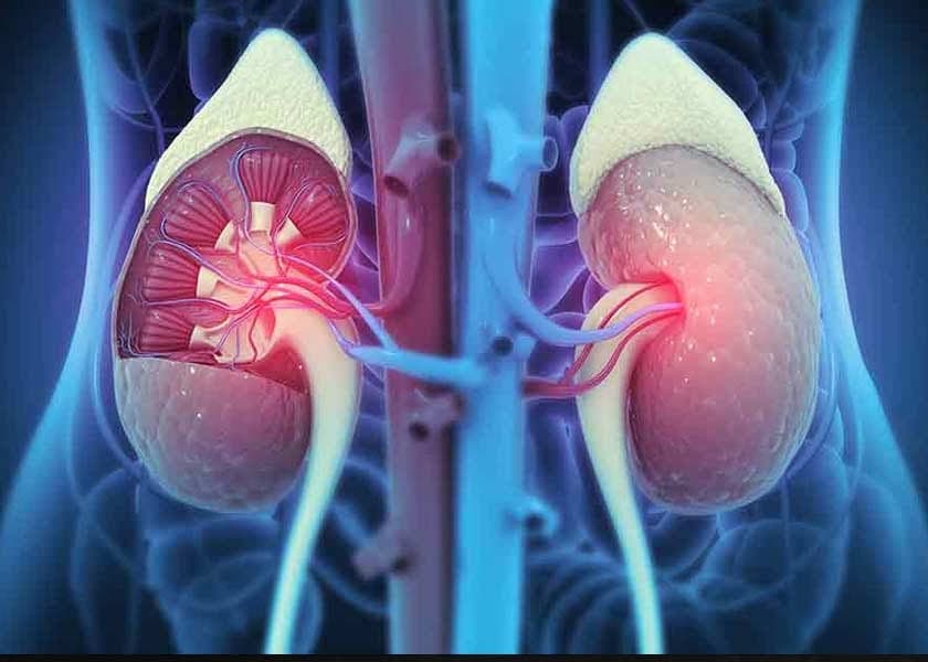 Advanced Heart, Kidney, and Metabolic Disease Linked to Higher Cancer Risk