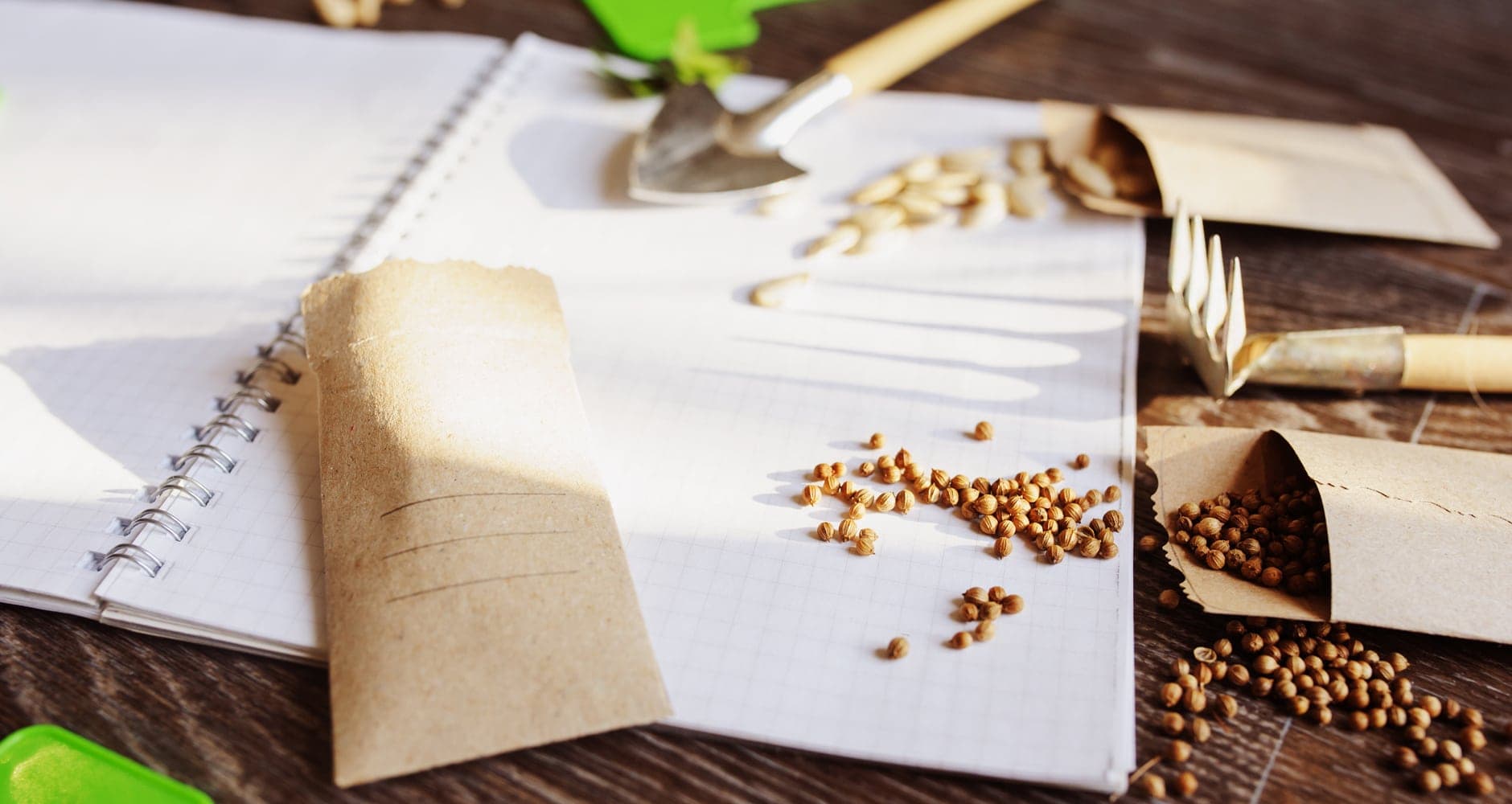 Plan Your Garden: A Simple Step-by-Step Layout Guide