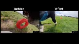 @Scobleizer reposted: Stabilizing video from a camera on a running animal turns out to be brutally har...