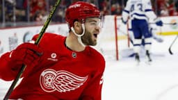 Dylan Larkin doesn't make sense for Lightning, but his ...