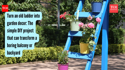 Turn an old ladder into garden decor: The simple DIY ...