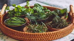 Which herbs in your garden will survive winter outdoors?