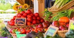 Farm Bill Lays Framework for Specialty Crop Insurance | Farming and Agricultural News | lancasterfarming.com