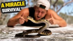 We Saved AUSTRALIA'S Most ENDANGERED SNAKE From DEATH | Broad-Headed Snake