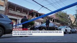 News 12 | Bronx | Gunman Remains On The Run After Sunset Park Shooting