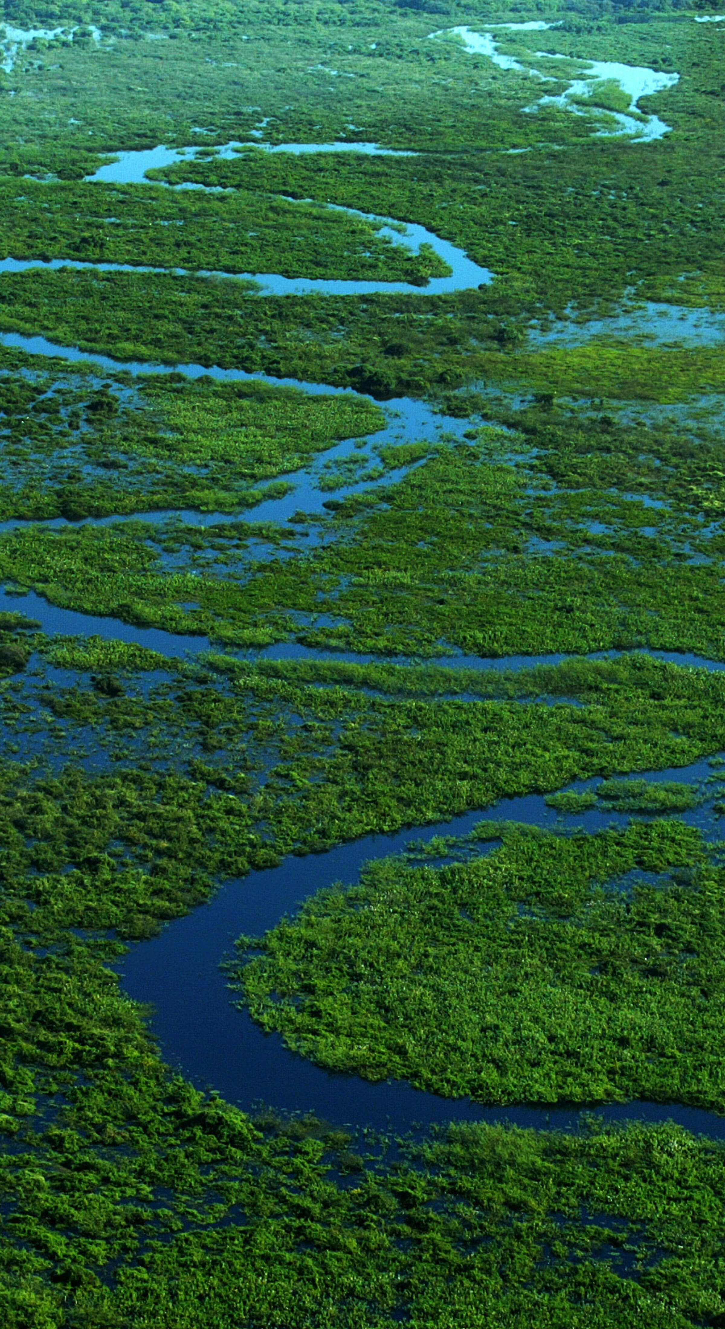 Endangered Species Coalition Honors Conservation ...