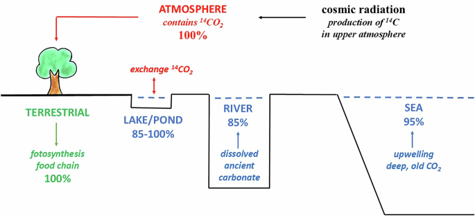 Words of warning about radiocarbon dating medieval human bones