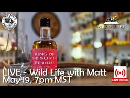 Live with Wild Life Distillery Co-Founder Matt | Canadian Rye Whisky of the Year