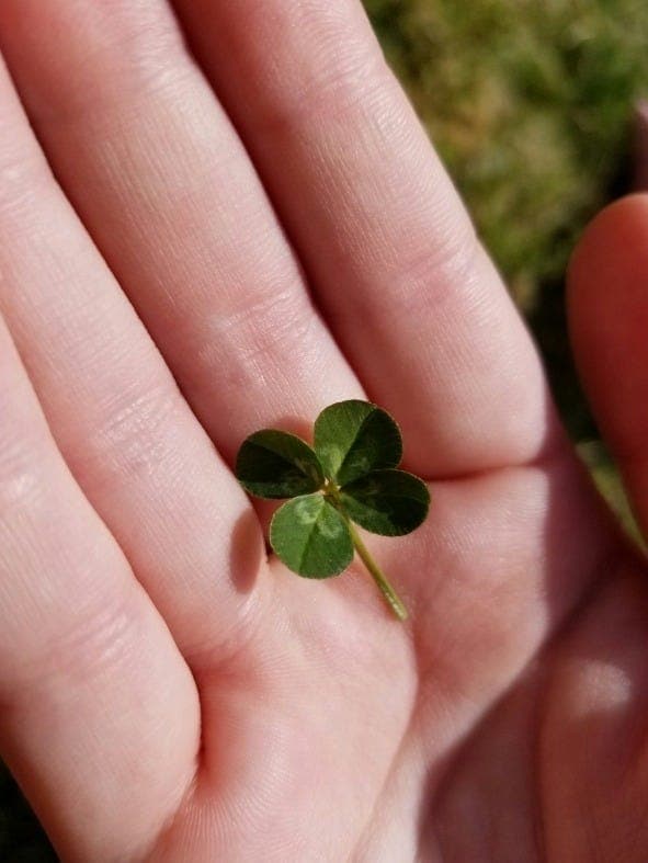 How to create your own luck 🍀 