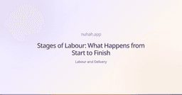 Stages of Labour: What Happens from Start to Finish | Nuhah