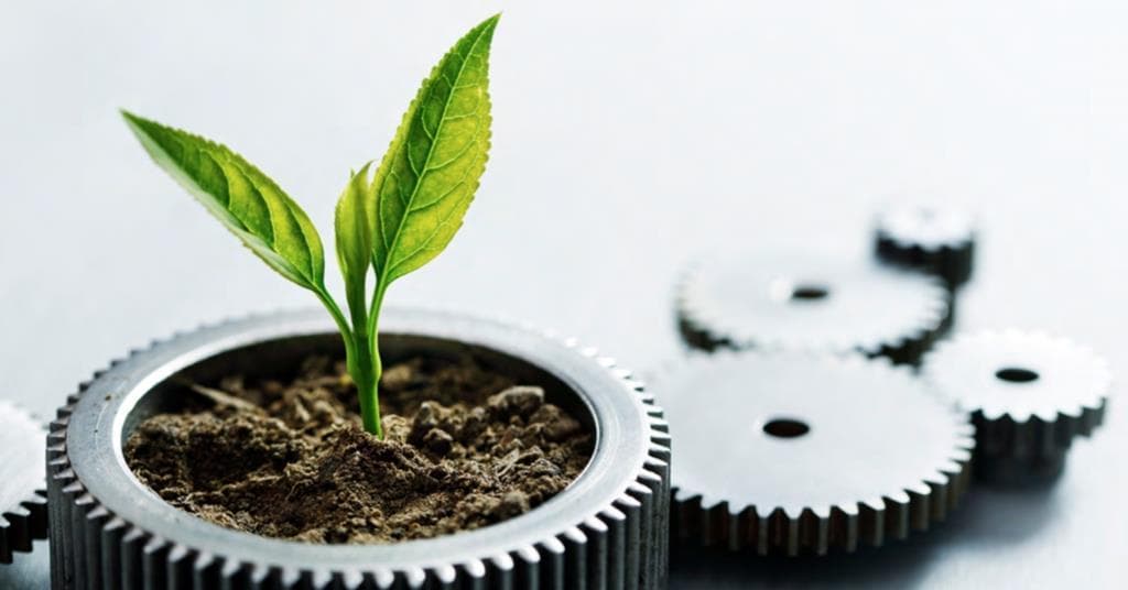 EU launches major blended finance fund for EMDE green bonds | News | IPE