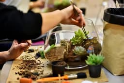 Eight Terrarium Tips For Beginners