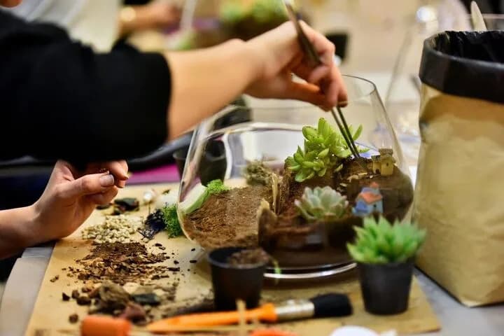 Eight Terrarium Tips For Beginners