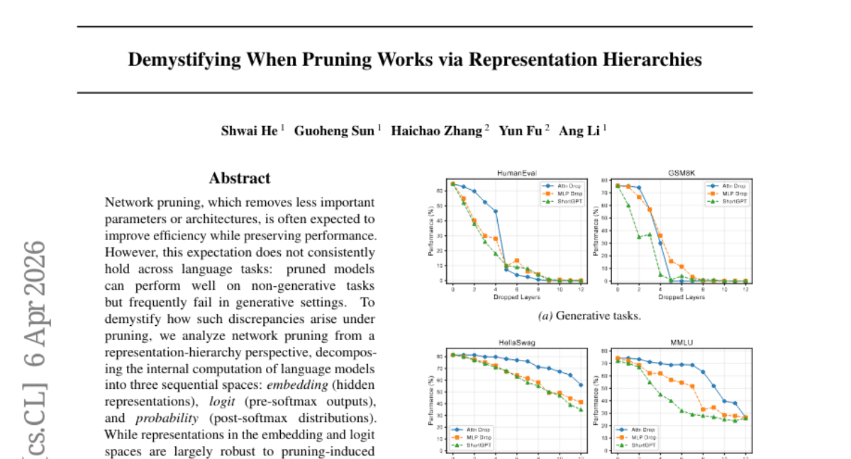 Demystifying When Pruning Works via Representation Hierarchies