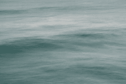 Recovering from Cluster B Abuse: | Annie Wright, LMFT