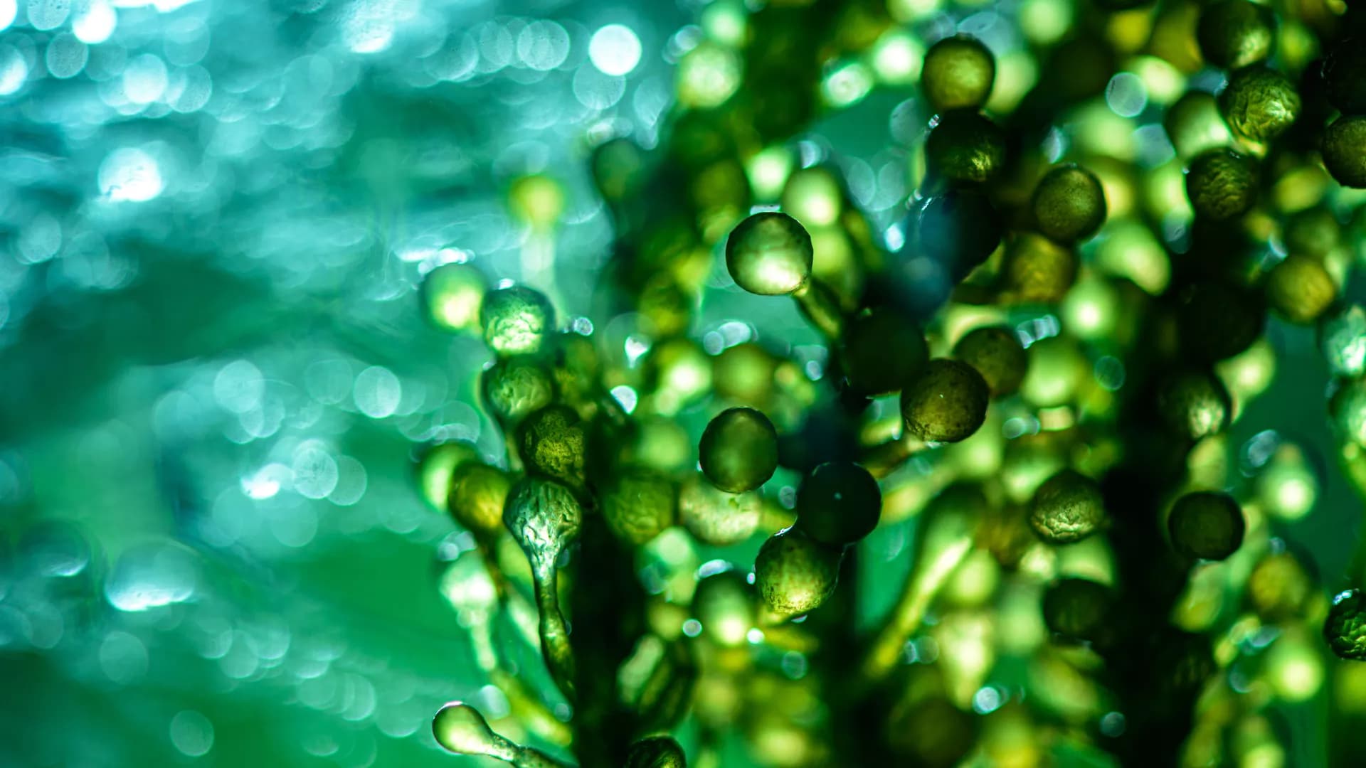 The aesthetics of applying 3D printing in the design and ...