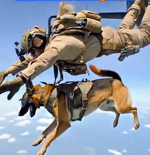 evening wrap, march 16