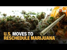 U.S. Moves to Reschedule Marijuana, Easing Restrictions on a $47 Billion Industry