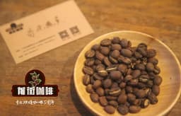 What's the Difference Between Geisha Coffee and Pacamara ...
