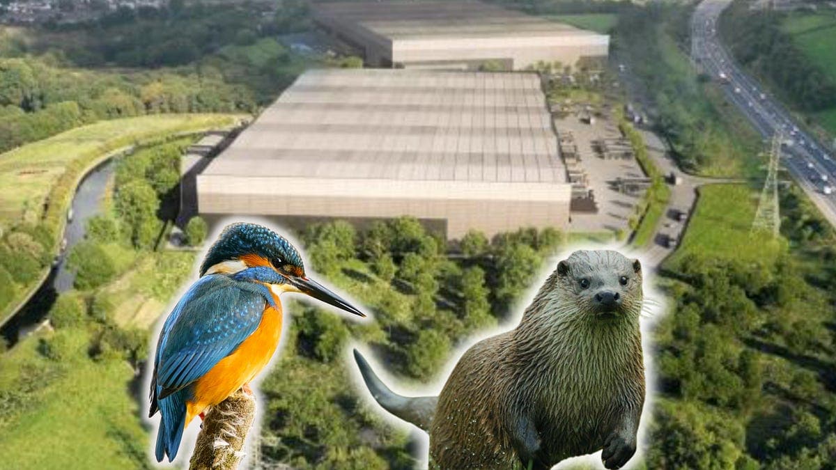 Green belt land in Lancashire could be destroyed