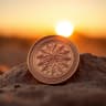 Arizona Crypto Pulse