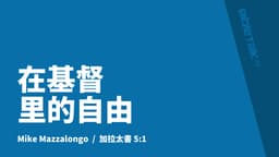 在基督里的自由