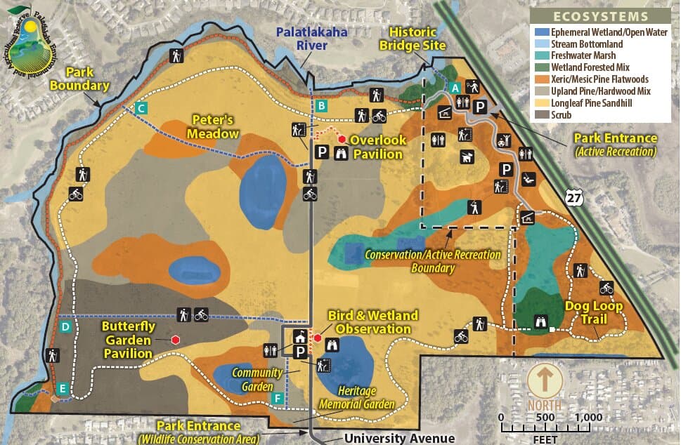 How do YOU connect in The Villages? 🤔