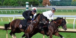 Kentucky-raised Golden Tempo wins Belmont Stakes, becomes 13th horse to capture Derby and Belmont