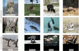 @LukeZettlemoyer reposted: What’s the right representation for a world model? 3D, pixels, or something else...