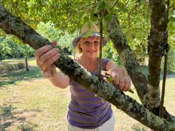 Are you ready to chop and drop? Gardening tips for July