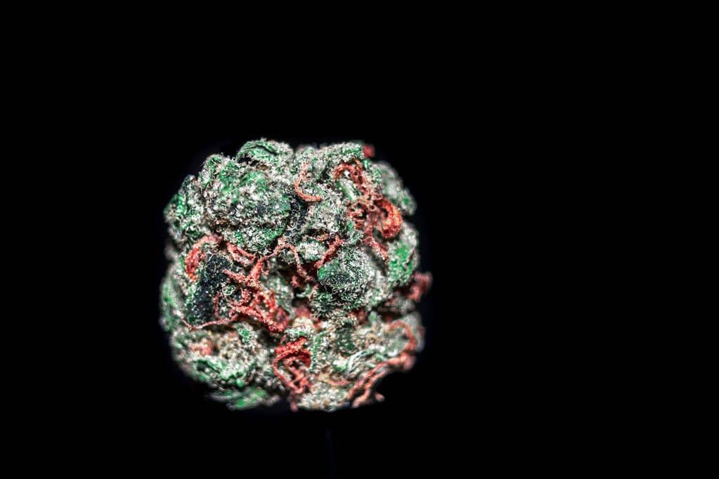 Federal Legislation to End Federal Marijuana Prohibition Gains 73rd Sponsor in U.S. Congress