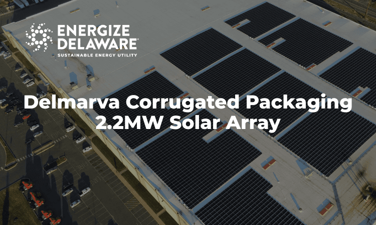 Delmarva Corrugated Packaging Unveils Delaware’s Largest Net-Metered Rooftop Solar Array - Energize Delaware