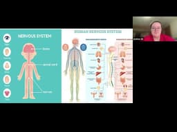 Managing Stress After Life Transitions
