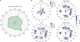 New method predicts the success of LLMs on untried tasks with high accuracy