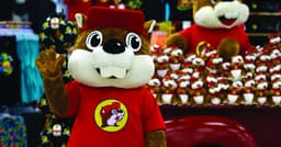 Benton schools prepare for increased traffic as Buc-ee's ...