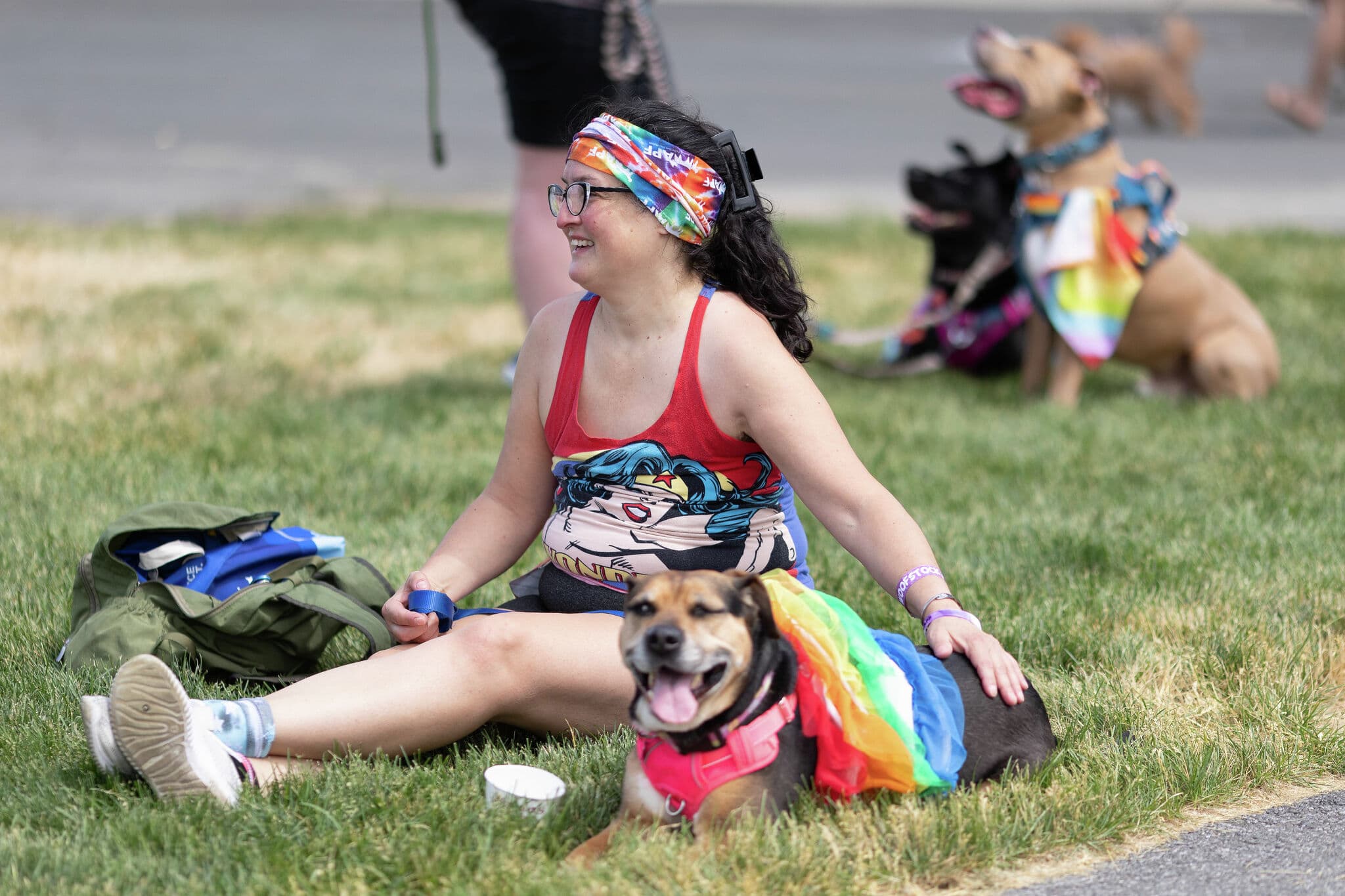 Things to do this weekend in the Capital Region
