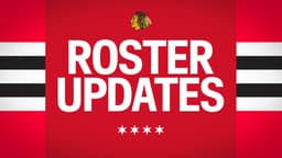 @NHLBlackhawks: the Blackhawks have loaned the following players to the Rockford IceHogs of the American Hockey Leag...