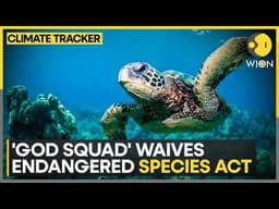 Trump Administration Wins Gulf of Mexico Oil Drilling Exemption | WION CLIMATE TRACKER