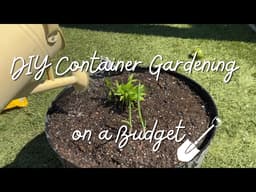 How to Start a Cheap Container Garden at Home