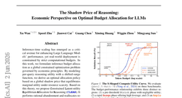 The Shadow Price of Reasoning: Economic Perspective on Optimal Budget Allocation for LLMs