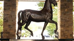 Breeders' Cup Pre-Entries Will Be Announced On FanDuel ...