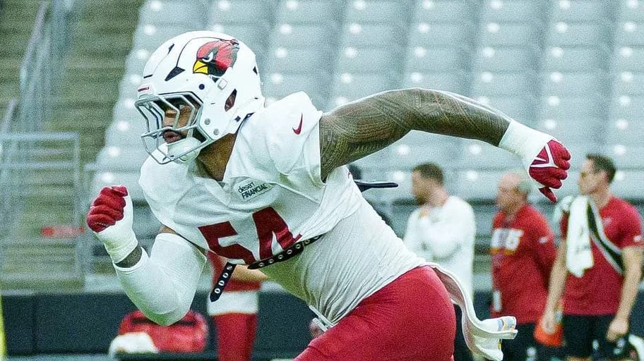 How Cardinals Preseason Underdog Eku Leota Survived Roster Cuts