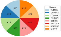 Optimized hybrid BEiT and EfficientNetB0 deep learning ...
