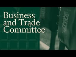 Artificial Intelligence, business and the future of the workforce - Business and Trade Committee